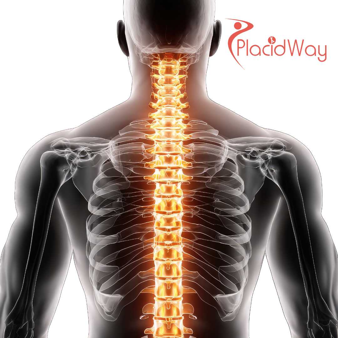 Is Stem Cell Therapy In Japan Available For Spinal Cord Injury Recovery?