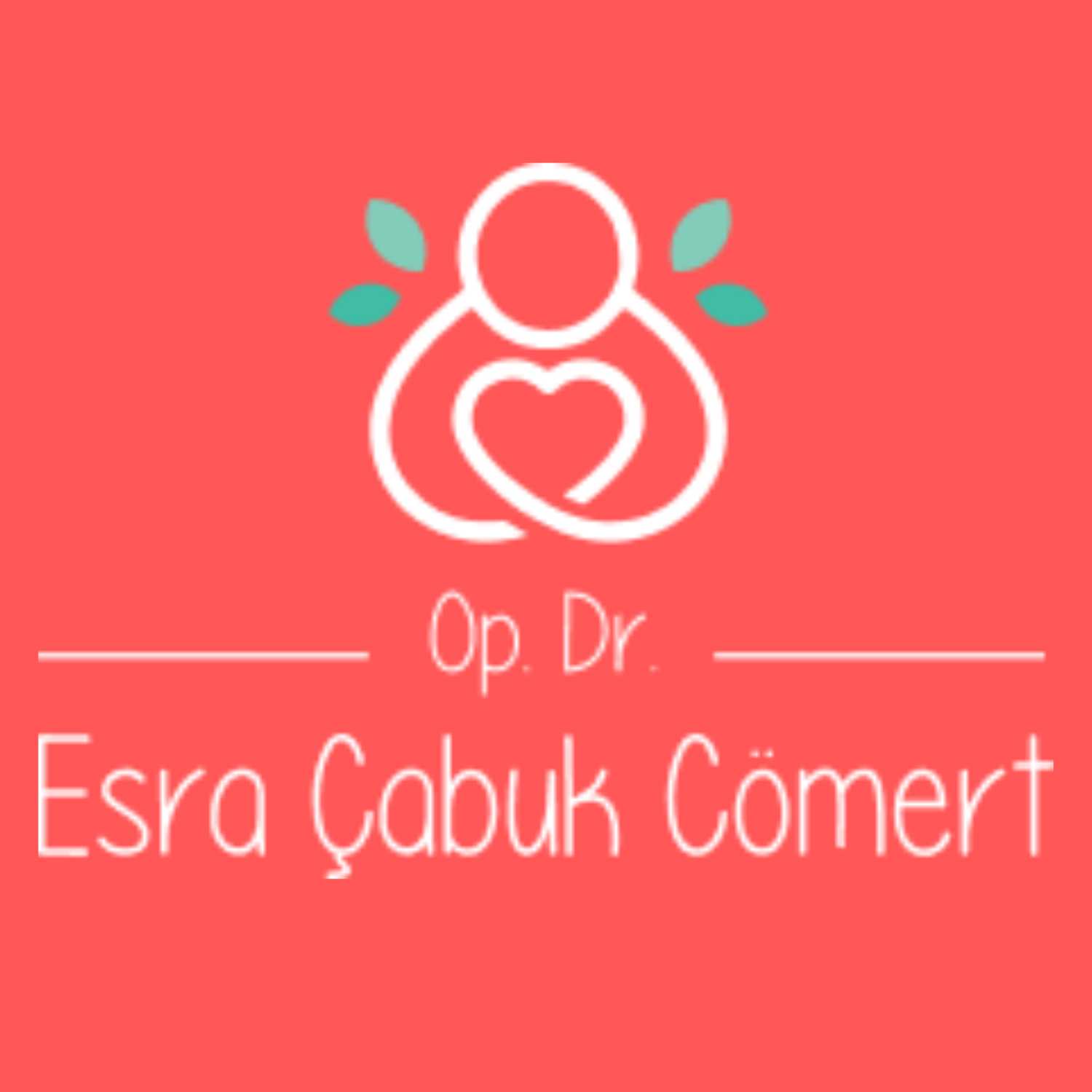 Standart IVF Cycle at Dr. Esra Çabuk Cömert's Clinic