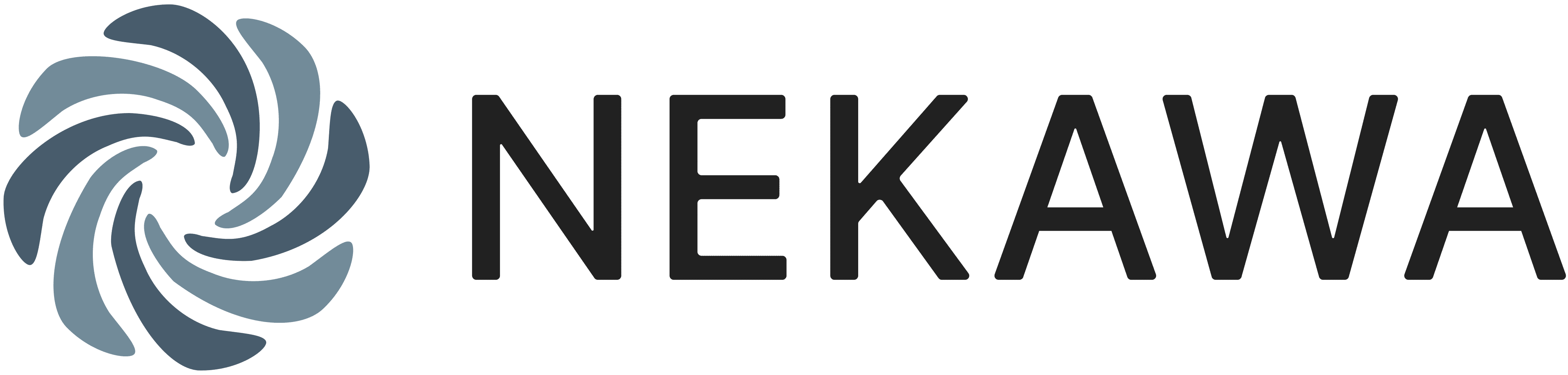 Nekawa Psychedelic Rehab in Brazil- Ibogaine Therapy