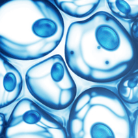 Stem Cell Therapy for ALS in Mexico City Mexico at MexStemCells Clinic