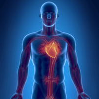 Coronary Angioplasty & Stent Insertion in Seoul, South Korea