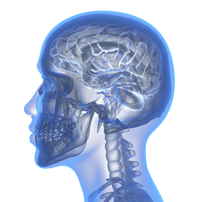 Best Package for Stem Cell Treatment for Parkinson in New Delhi, India