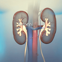 Kidney Transplant Surgery Package in India