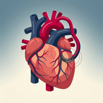 Coronary Artery Bypass Surgery (CABS) Package in Santo Domingo, Dominican Republic by Heartline Clinics