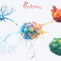 Stem Cell Therapy Package by Liv Bona Dea Hospital 