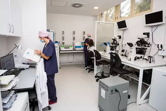 IVF in Spain