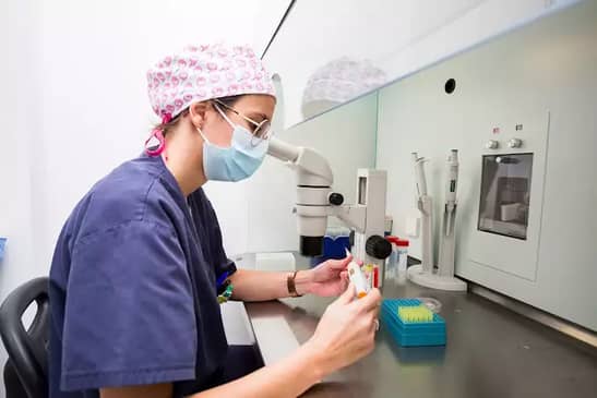 IVF Treatment in Spain