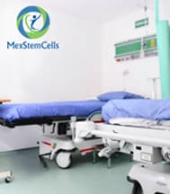 Slider image (5) MexStemCells Clinic