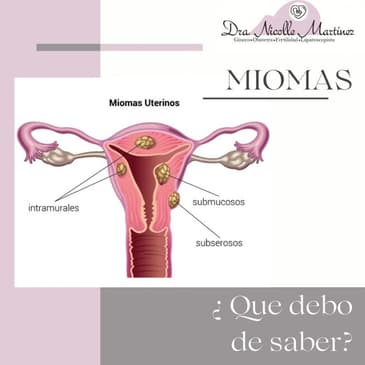 Slider image (2) Dr. Nicolle Martinez