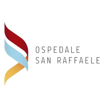 Slider image (6) San Raffaele Hospital