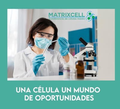 Slider image (3) MatrixCell