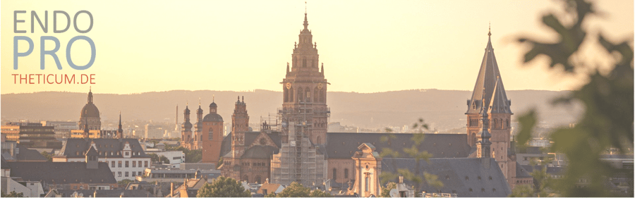 Slider image (4) ENDOPROTHETICUM Rhein-Main - Expert Hip & Knee Arthroplasty in Germany