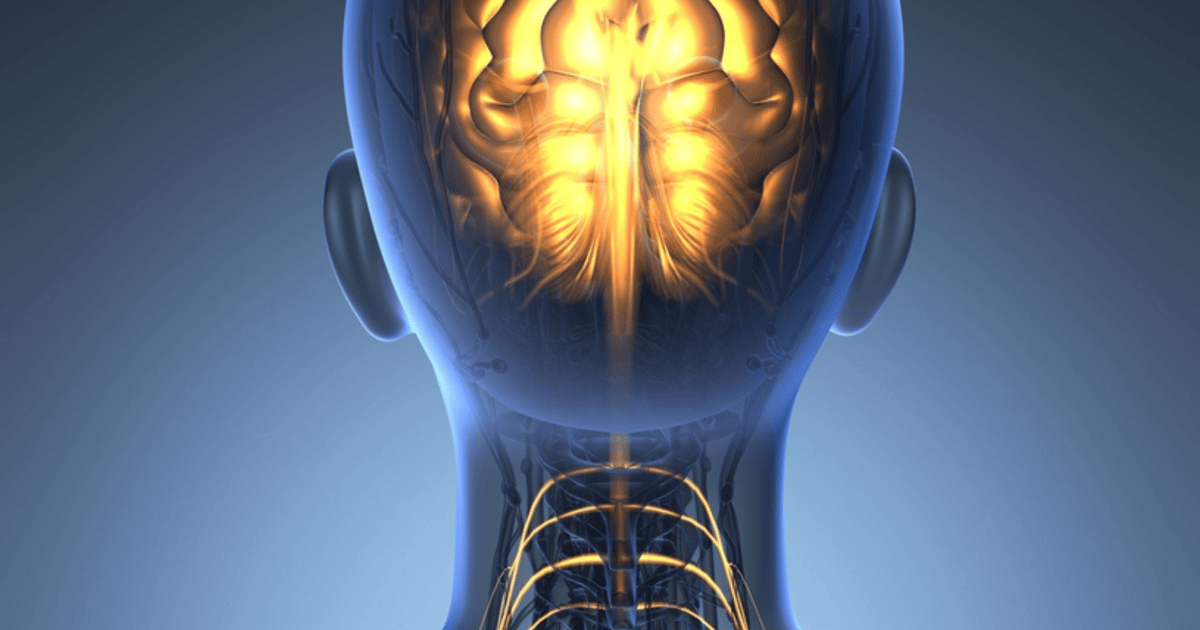 Los 10 neurólogos mejor valorados del mundo: últimas clasificaciones por pacientes