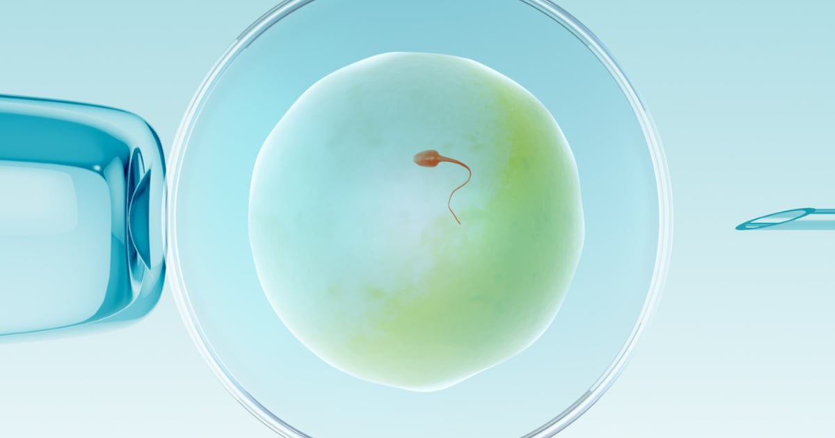 Congelación de óvulos: una guía completa para preservar la fertilidad