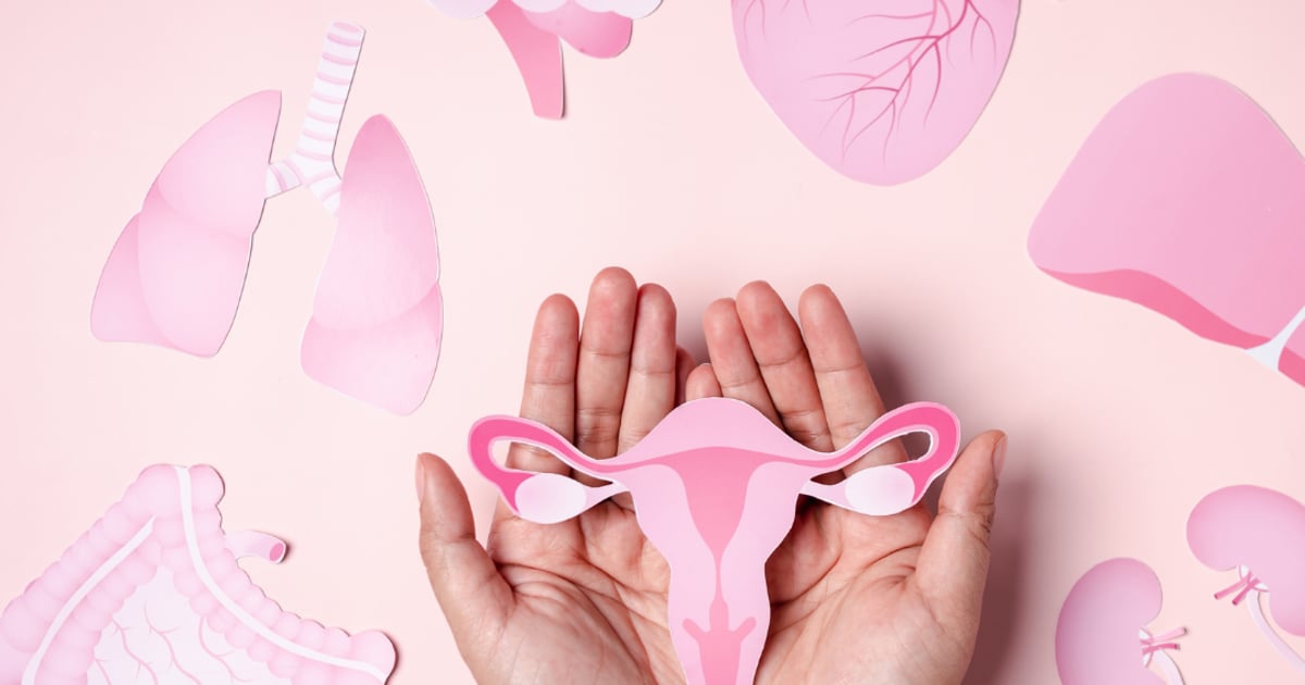 Reserva ovárica baja: una guía detallada para comprender y controlar la fertilidad