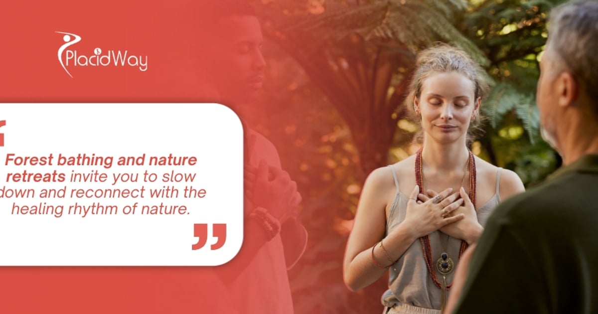 Forest Bathing & Nature Retreats