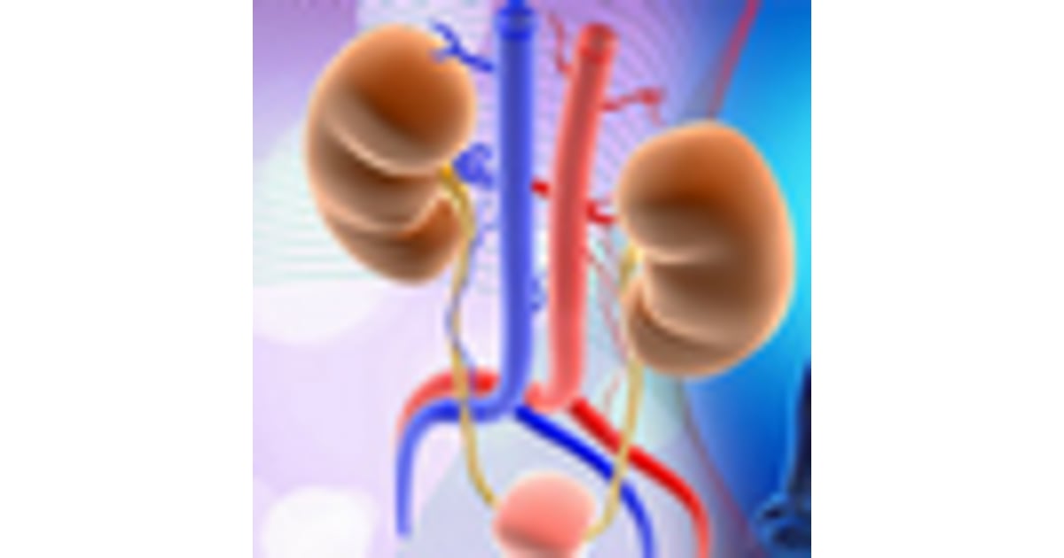 Best Kidney Transplant Hospitals in the World