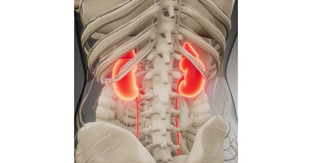 Affordable Stem Cell Therapy for Kidney Failure in Mexico