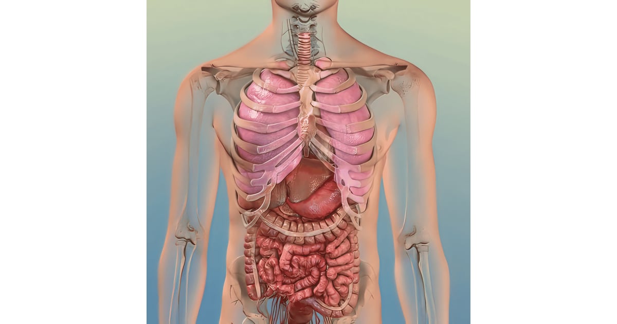 Inmunoterapia: una nueva frontera en el tratamiento del cáncer de pulmón en Tijuana