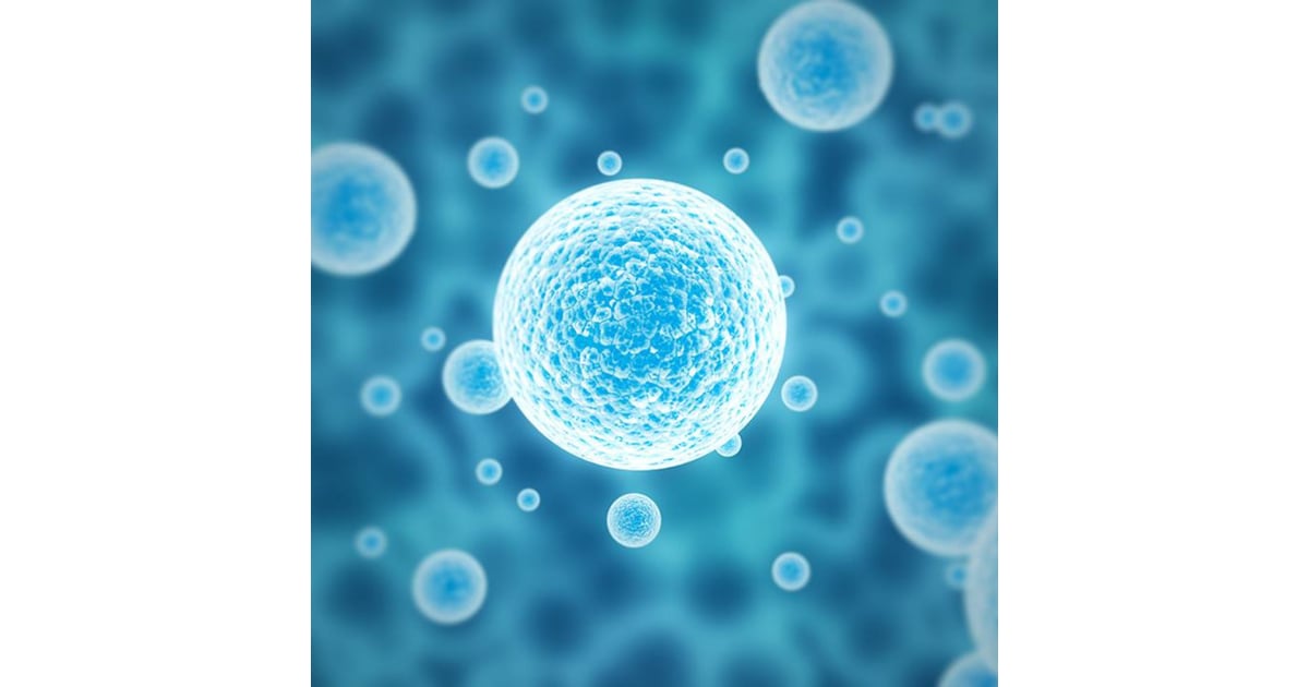 Tratamiento con bacteriófagos en Turquía: definición y procedimientos