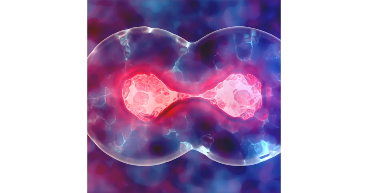 How Southeast Asian Patients Are Benefiting from Thailand’s World-Class Stem Cell Therapies for Chronic Diseases