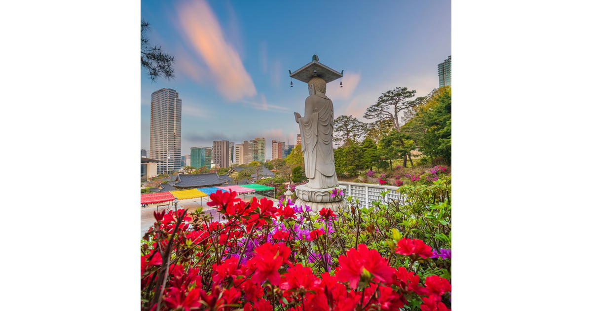 PlacidWay Partners with GMTA to Expand Global Access to Gangnam, Korea’s Premier Healthcare for Medical Tourists