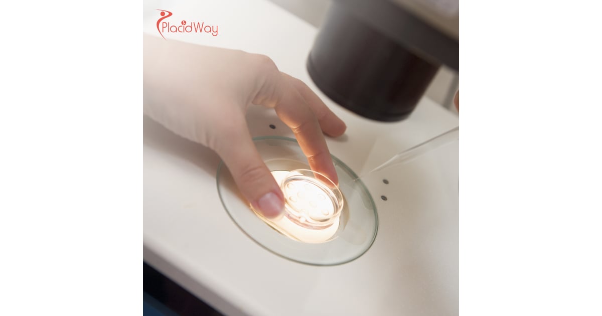 IVF with Egg Donation in Thailand: Affordable Fertility Solutions for Australian Couples