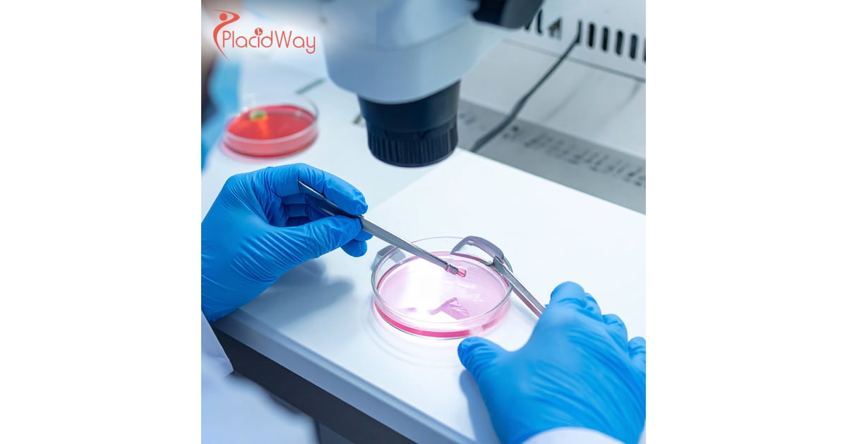 Embryonic Stem Cell Therapy in Turkey: Innovative Care for UK Patients