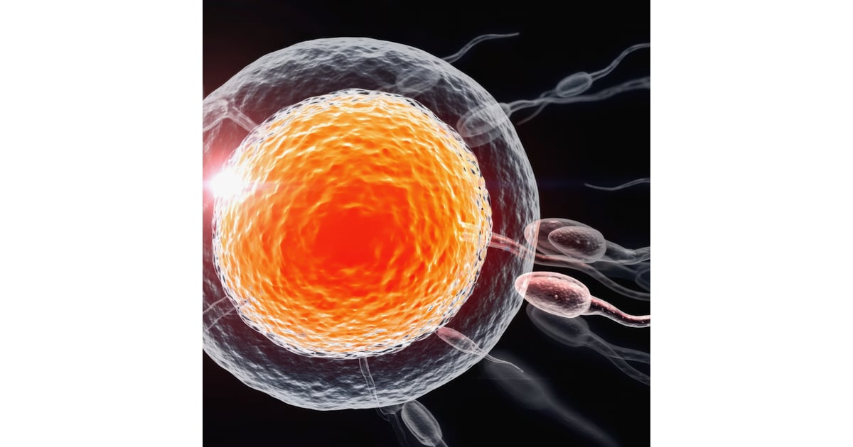 Egg Donation Cyprus vs. Spain: Your Guide to Fertility Treatment Abroad