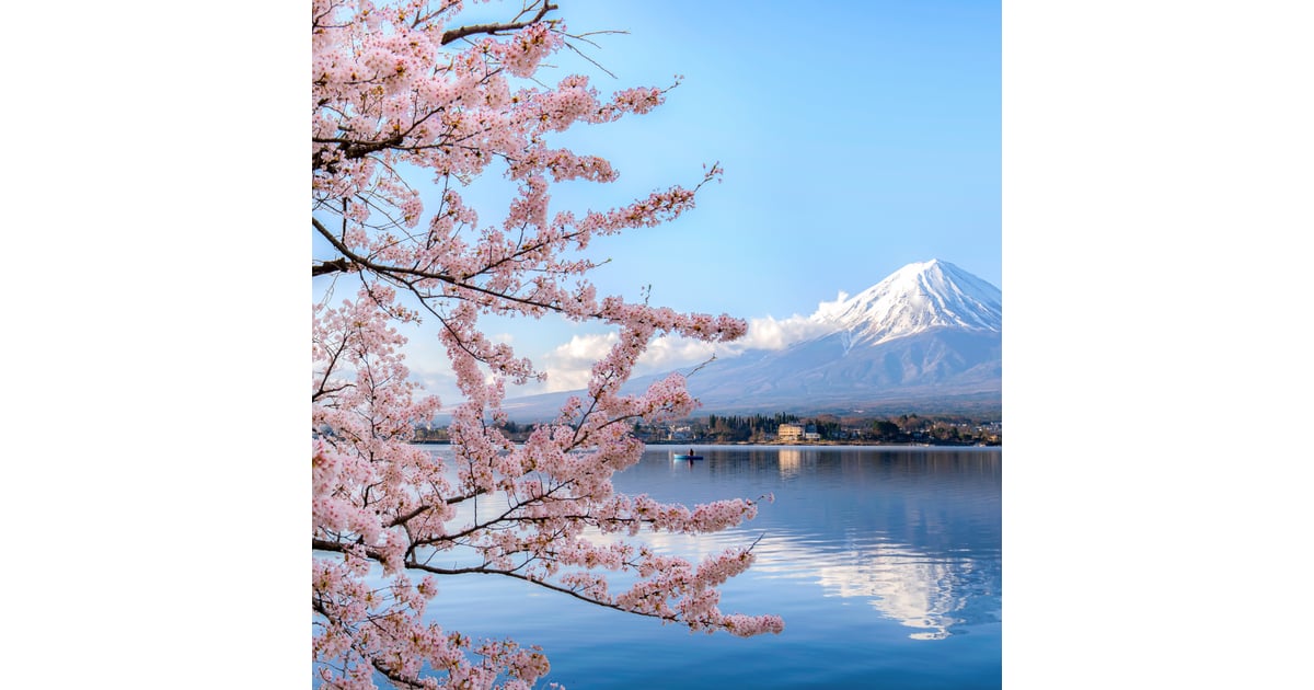 Top Reasons Taiwan Patients Travel to Japan for Regenerative Stem Cell Treatment