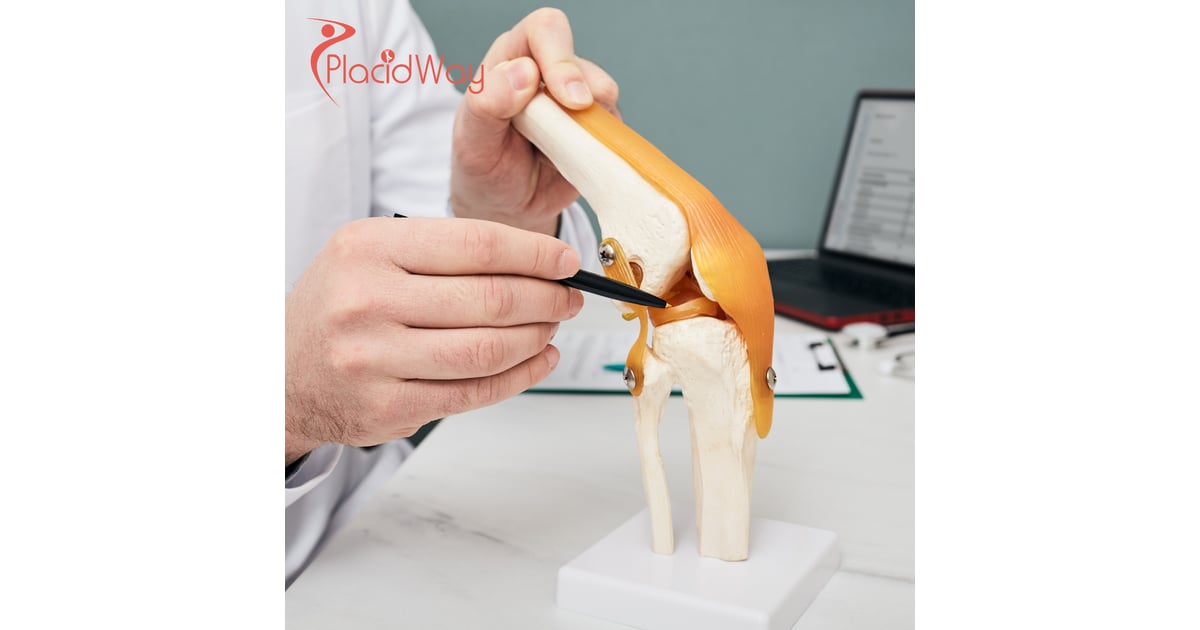 Stem Cell Therapy for Meniscus Injury in Japan: Things to Know