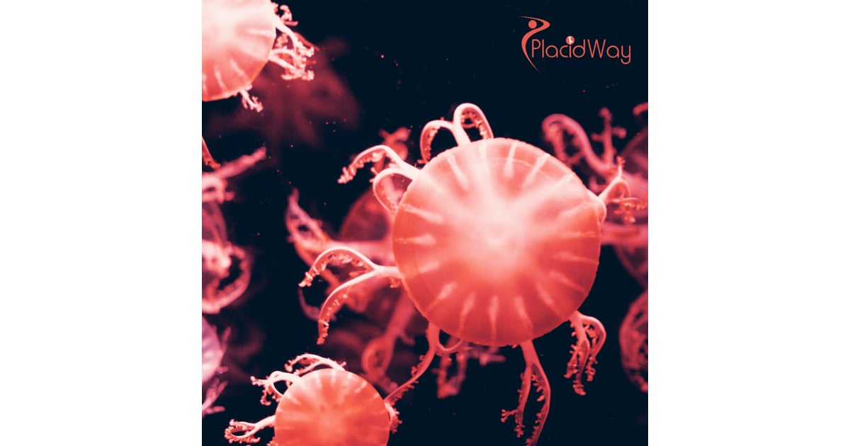 Stem Cell Therapy for Autoimmune Disorders in Mexico: A Comprehensive Guide