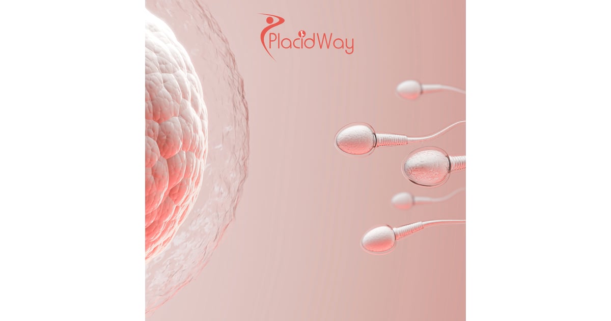 Fertility Treatment in Turkey for New York City Patients