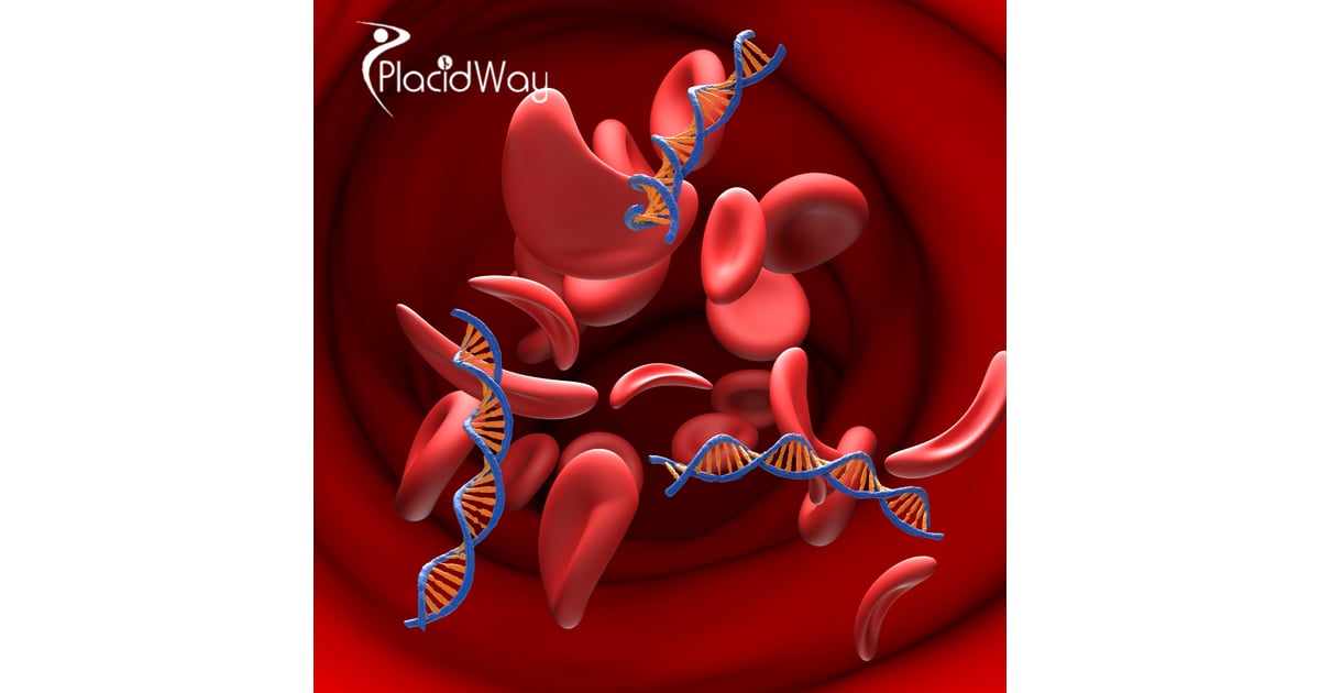 CAR-T Cell Therapy for Blood Cancer in China for Patients Seeking Advanced Cancer Immunotherapy