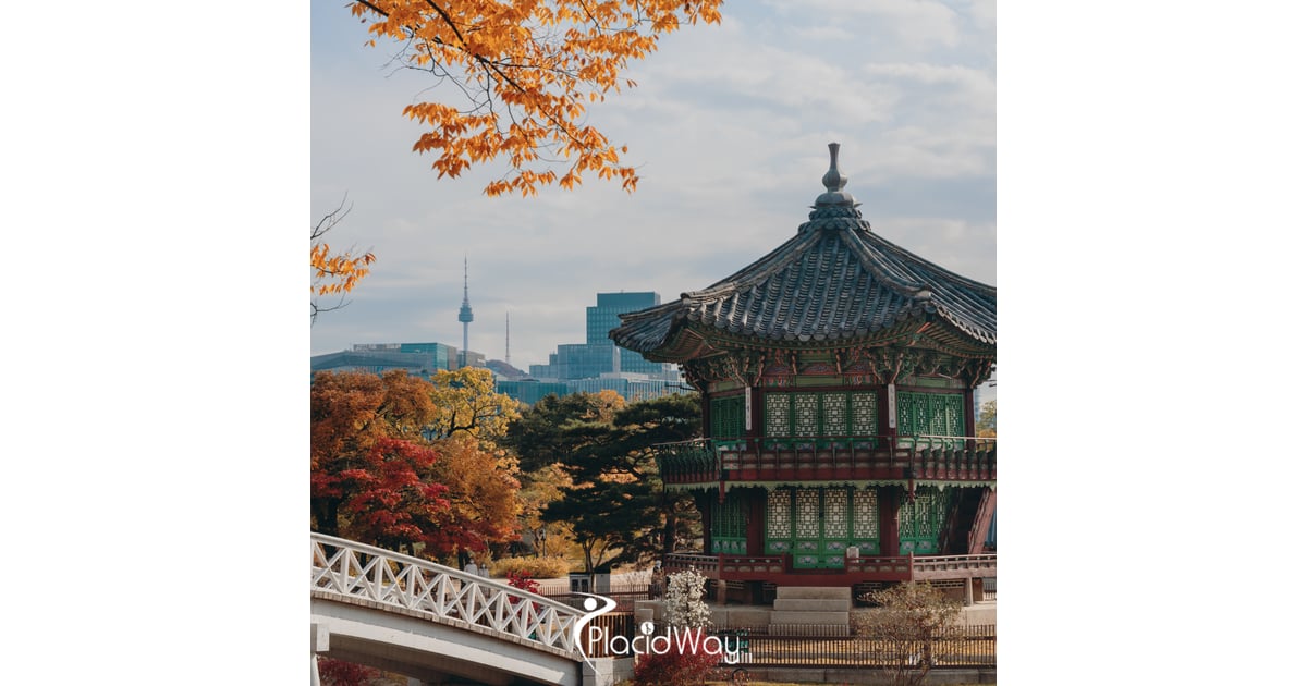 Rise of Gangnam Medical Tourism Hub: Patients from USA, Thailand & More