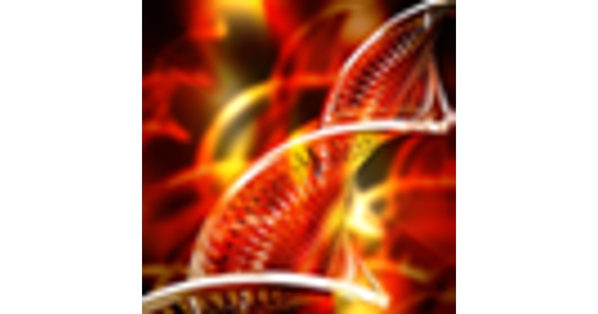Get the Best Stem Cell Treatment in Mexico