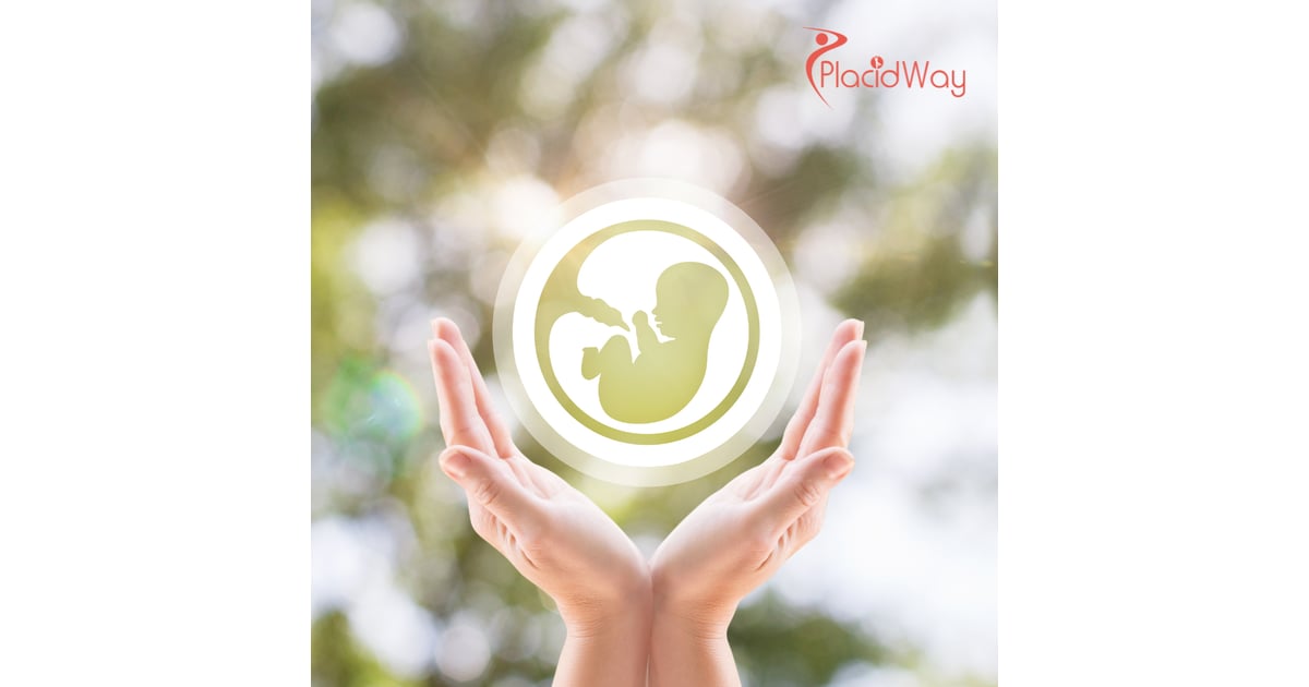 The Global Surrogacy Bridge: Why Cyprus is the Preferred Hub for Embryo Creation in 2026