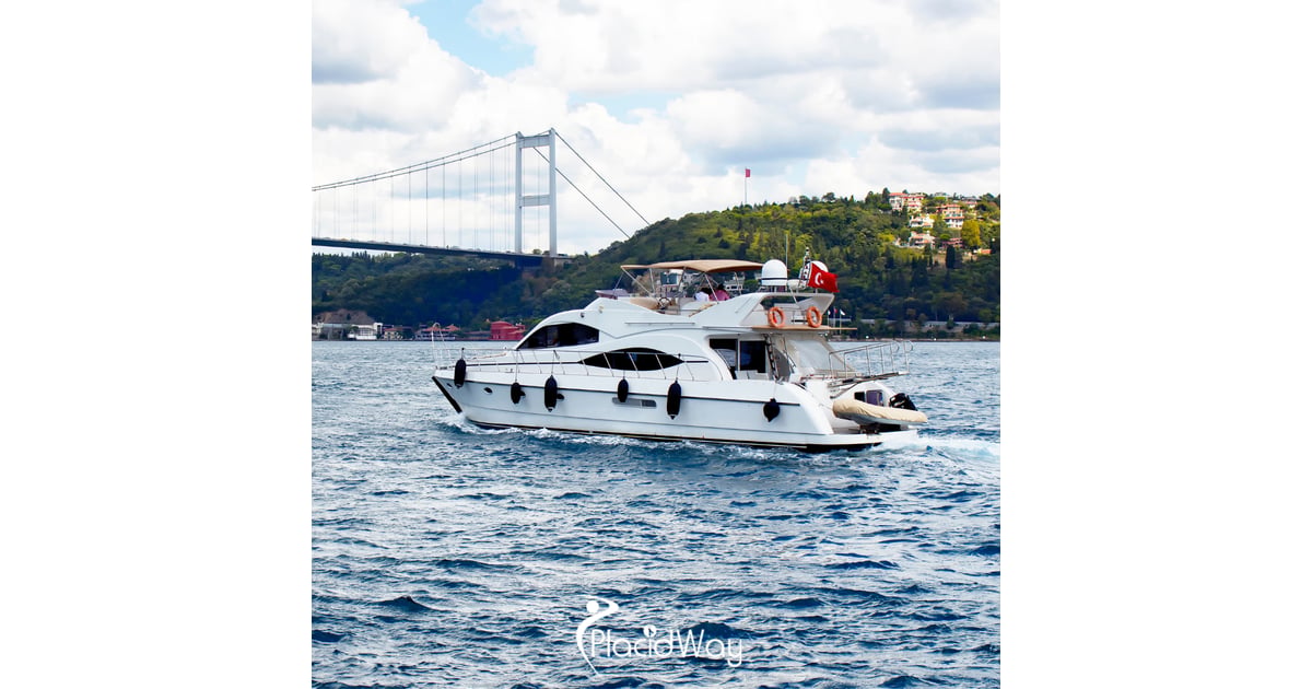 Trading the US System for Istanbul: How Turkey is Luring American Expats with Five-Star Executive Health Screenings and Affordable Care