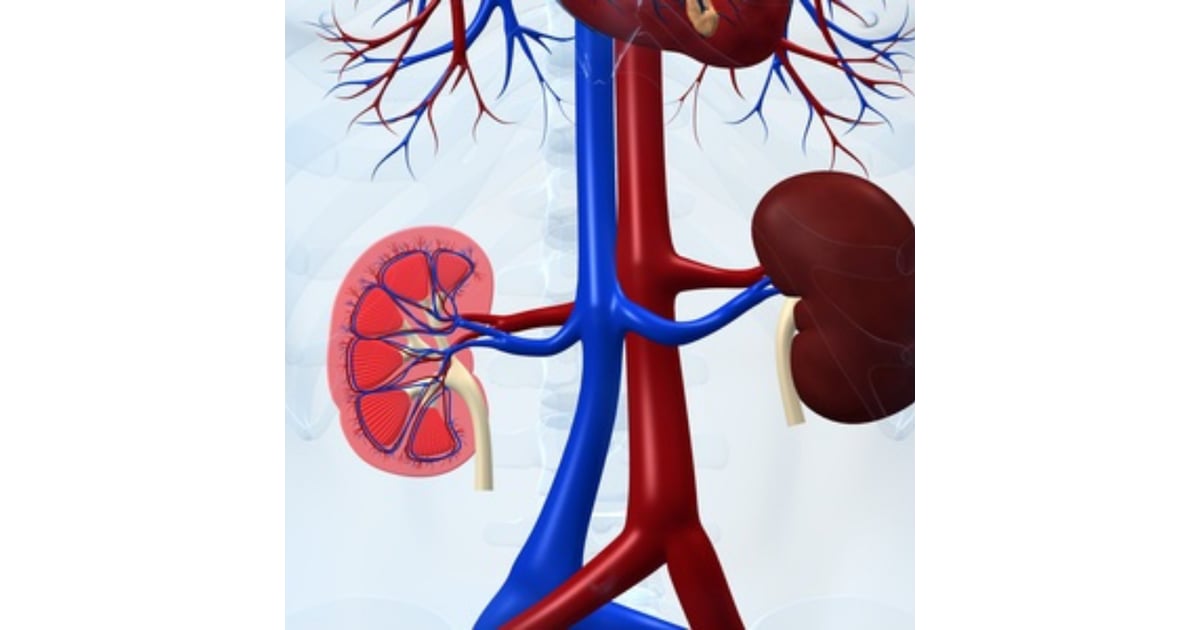 Stem Cell Therapy for Kidney Disease in Mexico: Top Care