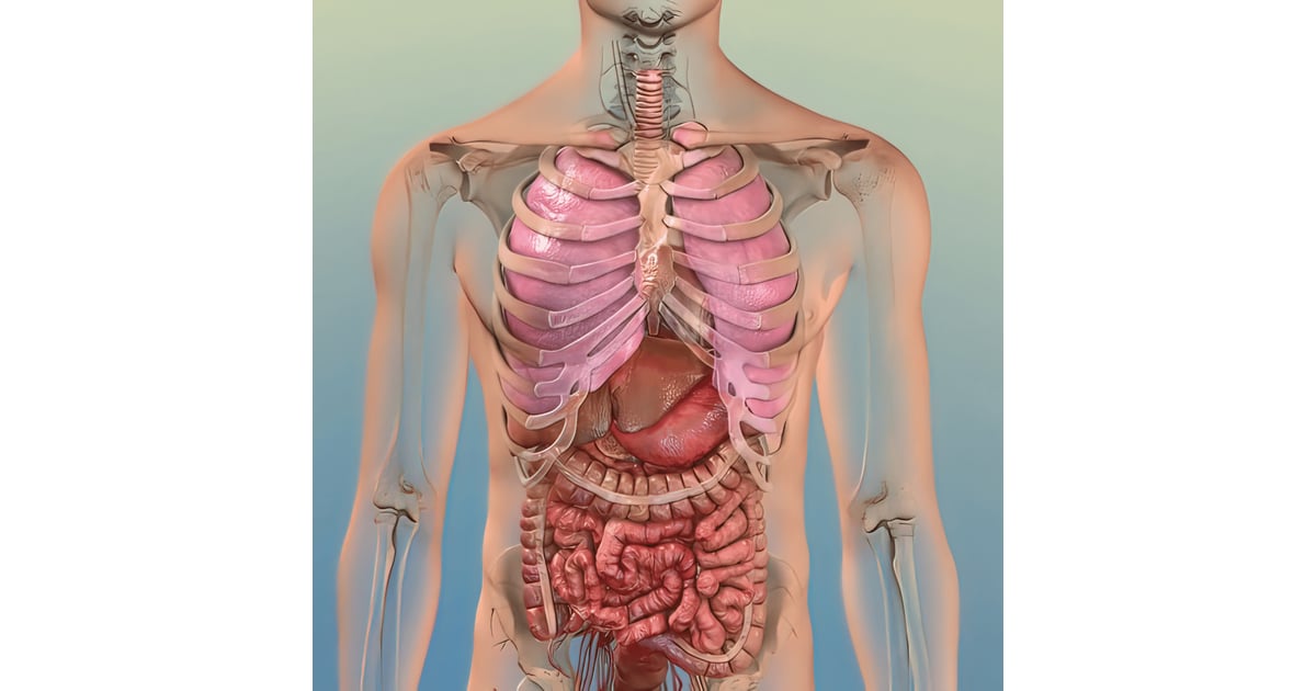 Integra Stem Cell for COPD Package in Nuevo Progreso Mexico