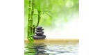 Indus Valley Ayurvedic Center - Truly Spreading the Wellness