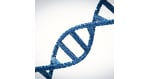 Stem Cell Therapy in Thailand: Affordable Options for Regenerative Medicine