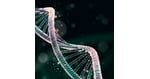 عيادة MexStemCells تتعاون مع PlacidWay للسياحة الطبية لتوسيع نطاق الوصول العالمي إلى الطب التجديدي