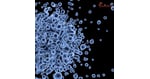 Why CAR T-Cell Therapy is Gaining Attention for Autoimmune Diseases