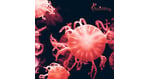Stem Cell Therapy for Autoimmune Disorders in Mexico: A Comprehensive Guide