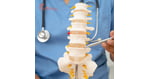 Affordable Stem Cell Therapy for Spinal Cord Injury in India: A Comprehensive Patient Guide
