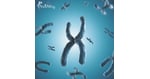 6 Key Benefits of PGD in Dubai, UAE