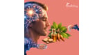 The Healing Effects of Ibogaine on the Brain: A Scientific Overview