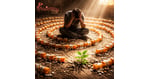How Ibogaine Interrupts the Cycle of Prescription Pill Addiction?