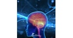 Advanced Brain Cancer Treatment in Tijuana - Crossing the Blood-Brain Barrier